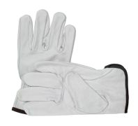209-2201 - Leather Driver Gloves (LG)