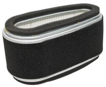 261-3252 - Air Filter Combo