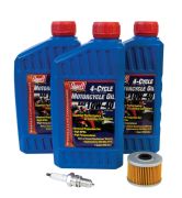 671-2100 - N2® ATV Maintenance Kit